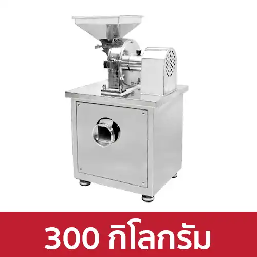 VP_PG-IND300