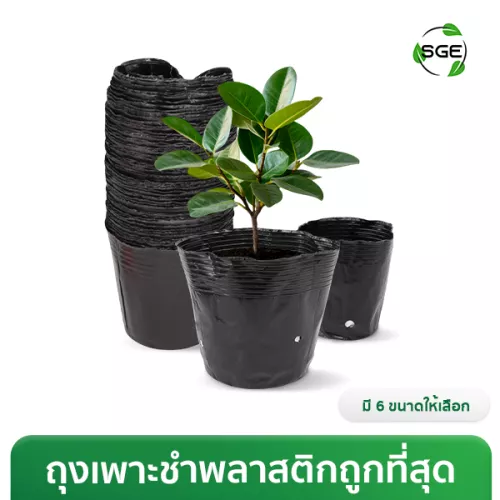 GPC-Thumbnail