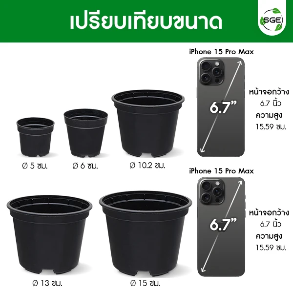 MB-Feature-GP-Size-2