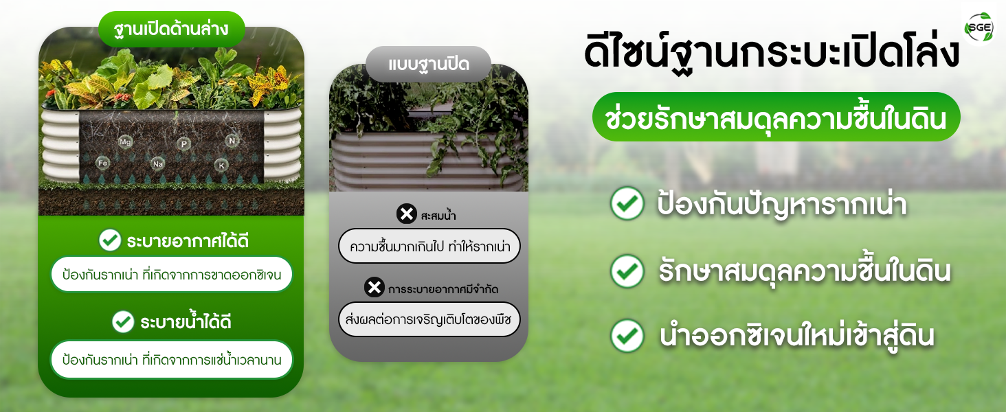 ดีไซน์ฐานกระบะเปิดโล่ง ระบายน้ำและความชื้นดี กระบะปลูกผัก ดีไซน์ฐานกระบะเปิดโล่ง ระบายน้ำและความชื้นดี
