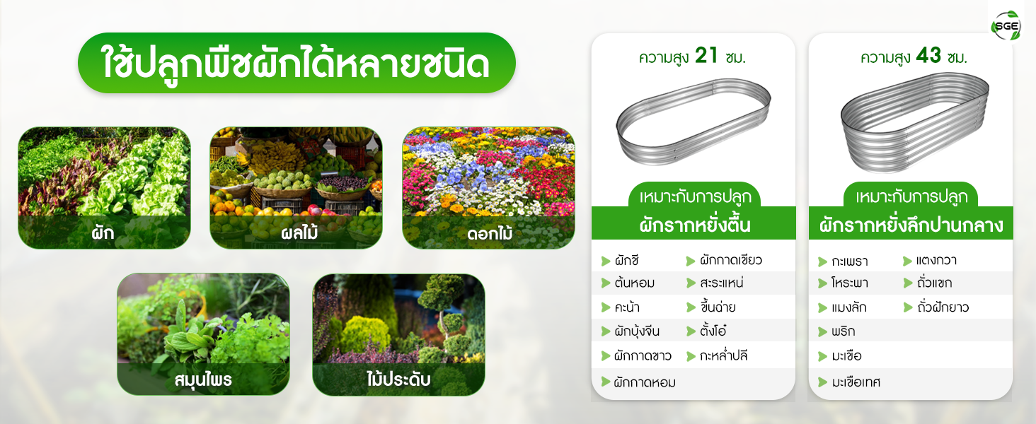 ความสูงแปลง เลือกยังไงให้เหมาะสม กระบะปลูกผัก ใช้ปลูกต้นไม้ โดยสามารถเลือกความสูงแปลงที่เหมาะสม