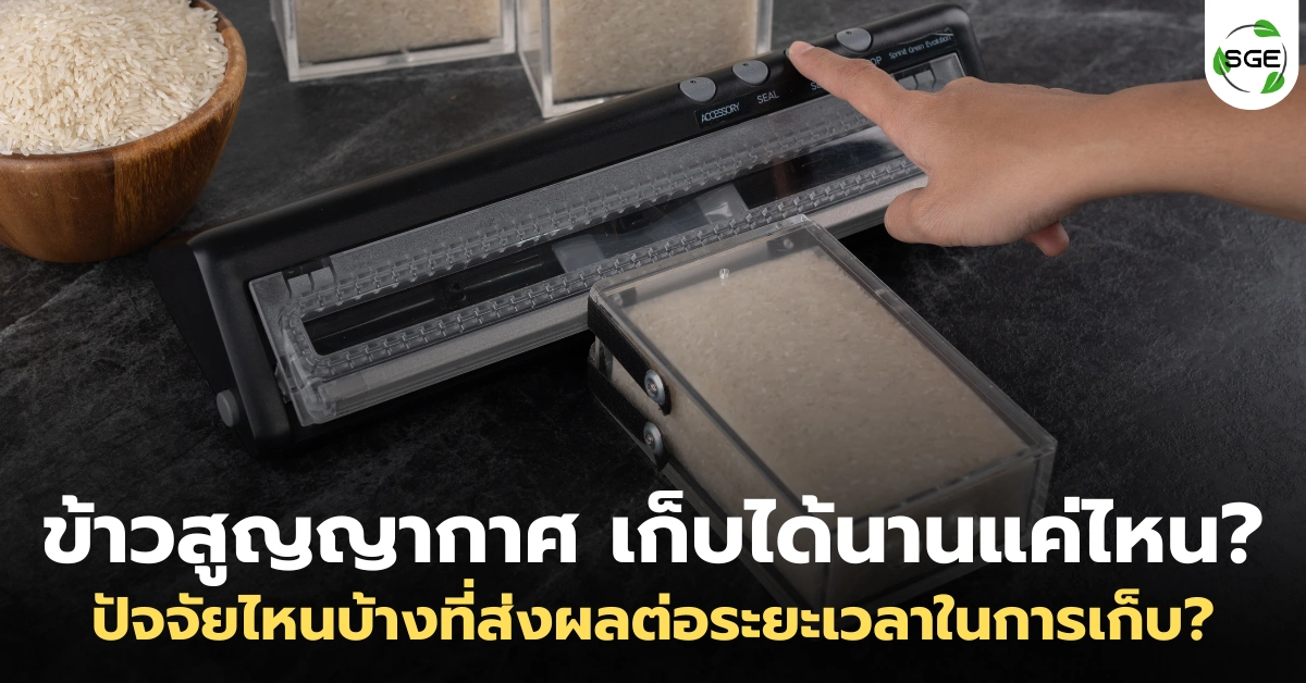 ข้าวสูญญากาศ เก็บได้นานแค่ไหน? มีปัจจัยอะไรที่ส่งผลต่อระยะเวลาเก็บ