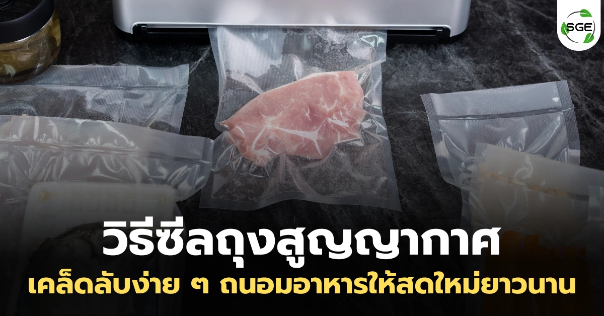 วิธีซีลถุงสูญญากาศ ถนอมอาหารให้สดใหม่ยาวนานด้วยเครื่องซีล SGE