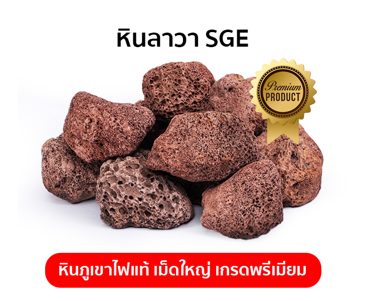 หินลาวาแดง SGE