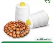 Thumnail-STR-ROPE-003