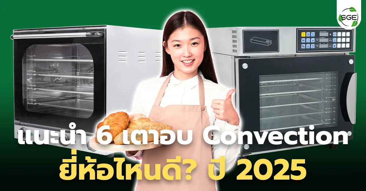 ผู้หญิงถือขนมปัง อยู่หน้าเตาอบ convection บนพื้นหลังเขียว