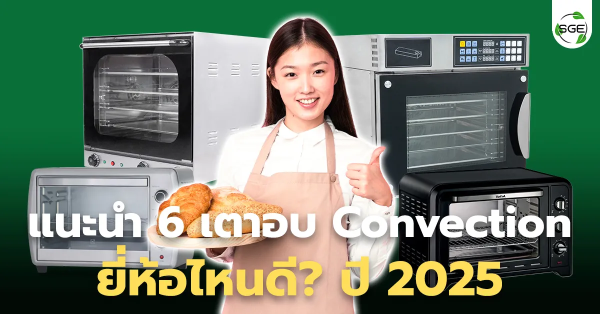 ผู้หญิงถือขนมปัง อยู่หน้าเตาอบ convection บนพื้นหลังเขียว