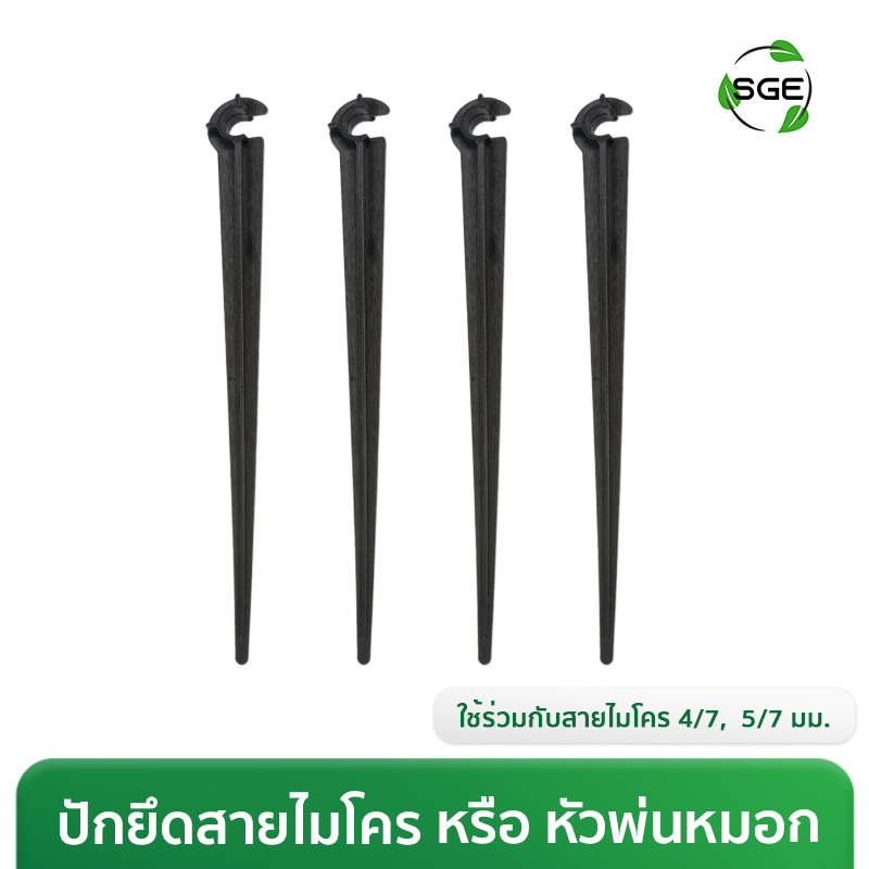 Thumbnail-IRG-STAKE-001-1