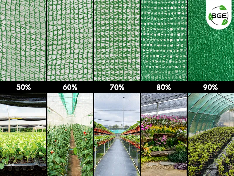 อัตราการกรองแสงของสแลนกันแดด 50% 60% 70% 80% 90%