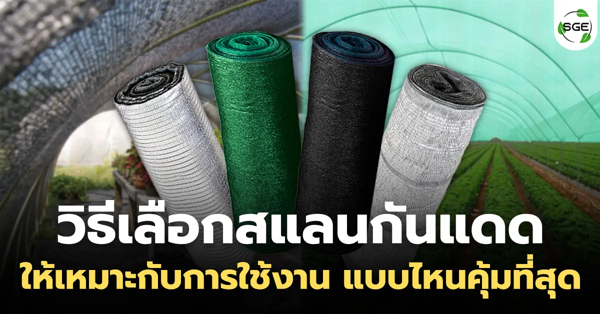 สแลนกันแดดสีดำ สีเขียว สีขาว อลูมิเนต