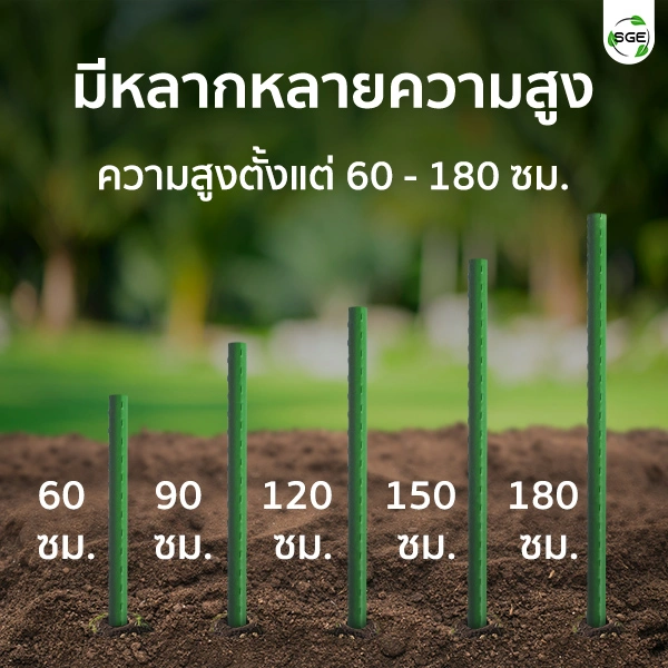 SQUARE-Tree-Support-1