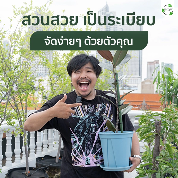 SQUARE-Tree-Support-10