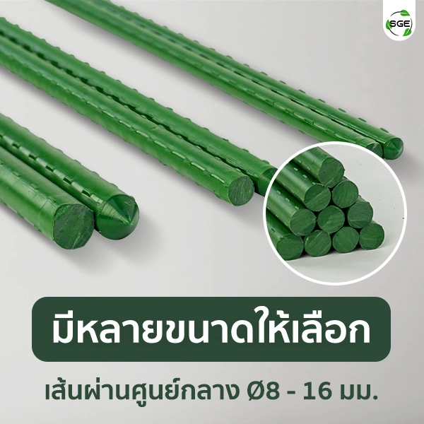 SQUARE-Tree-Support-2