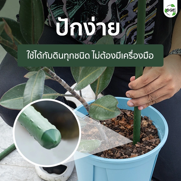 SQUARE-Tree-Support-4