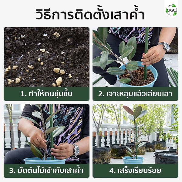 SQUARE-Tree-Support-8