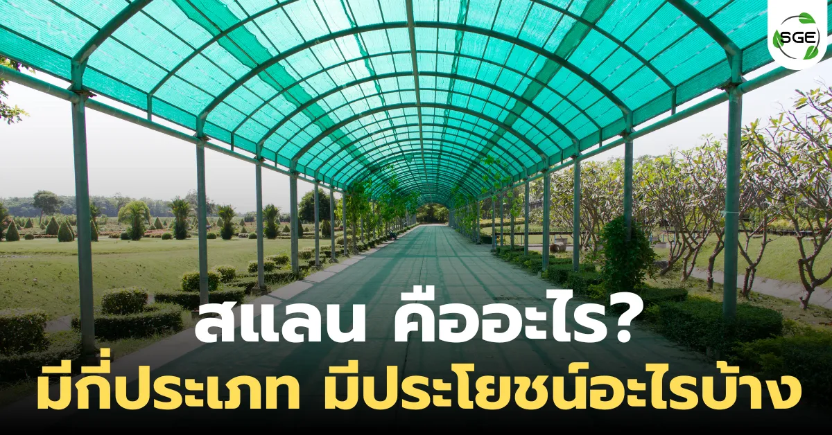 สแลน