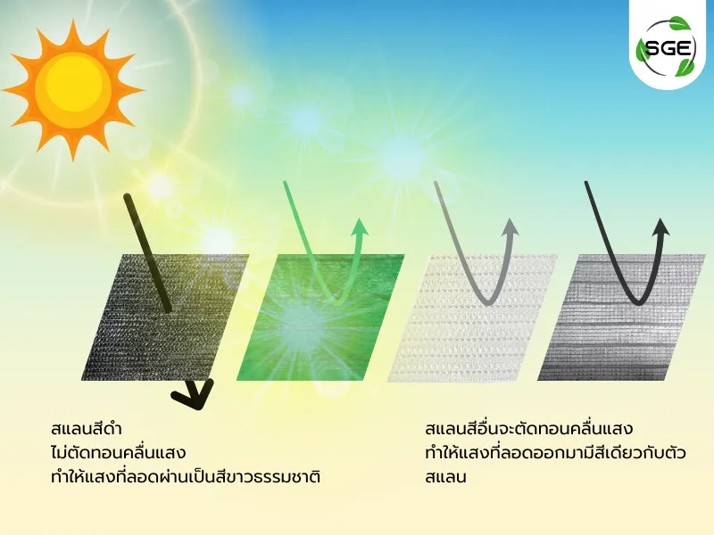 สแลนกันแดดมีกี่สี แต่ละสี ต่างกันอย่างไร?