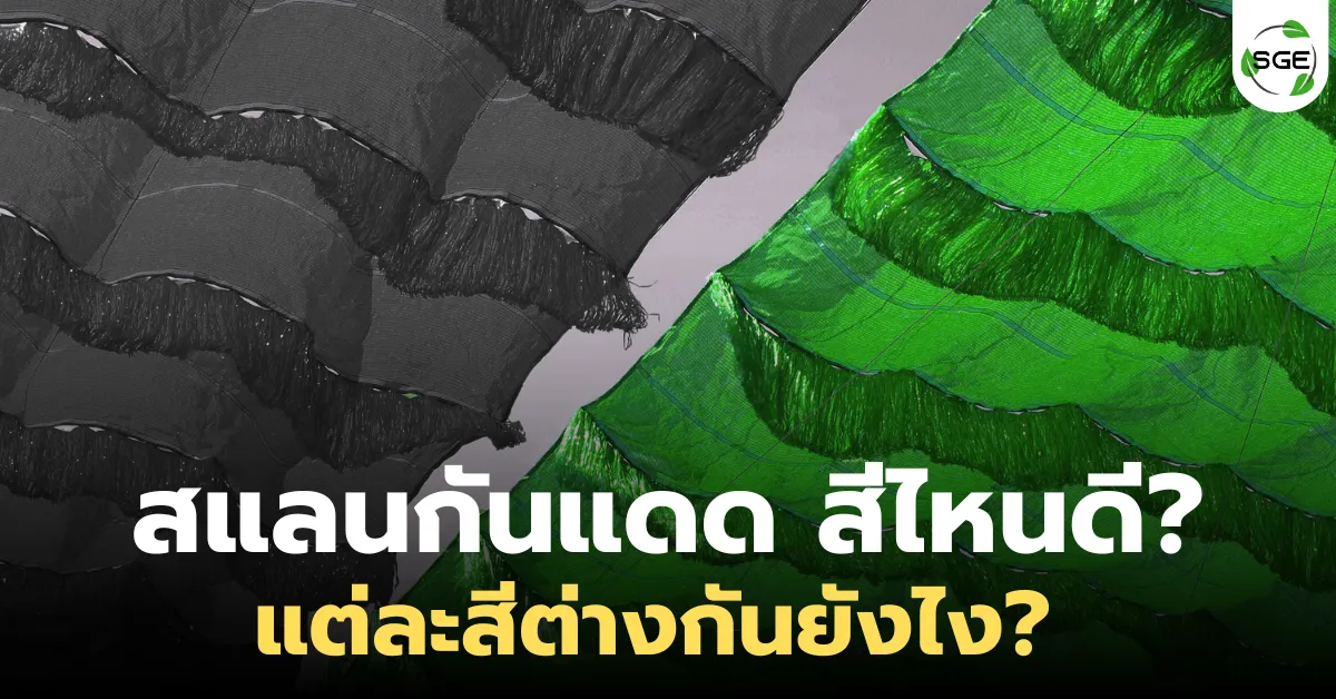 สแลนกันแดด สีไหนดี?