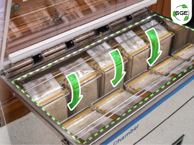 เครื่องซีลสูญญากาศแบบห้อง เครื่องซีลสูญญากาศแบบห้อง