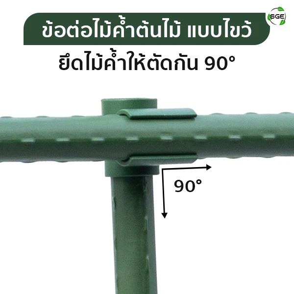 MB-Feature-GSP-C-C-Degree