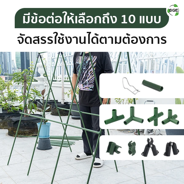 MB-Feature-GSP-C-F-Style