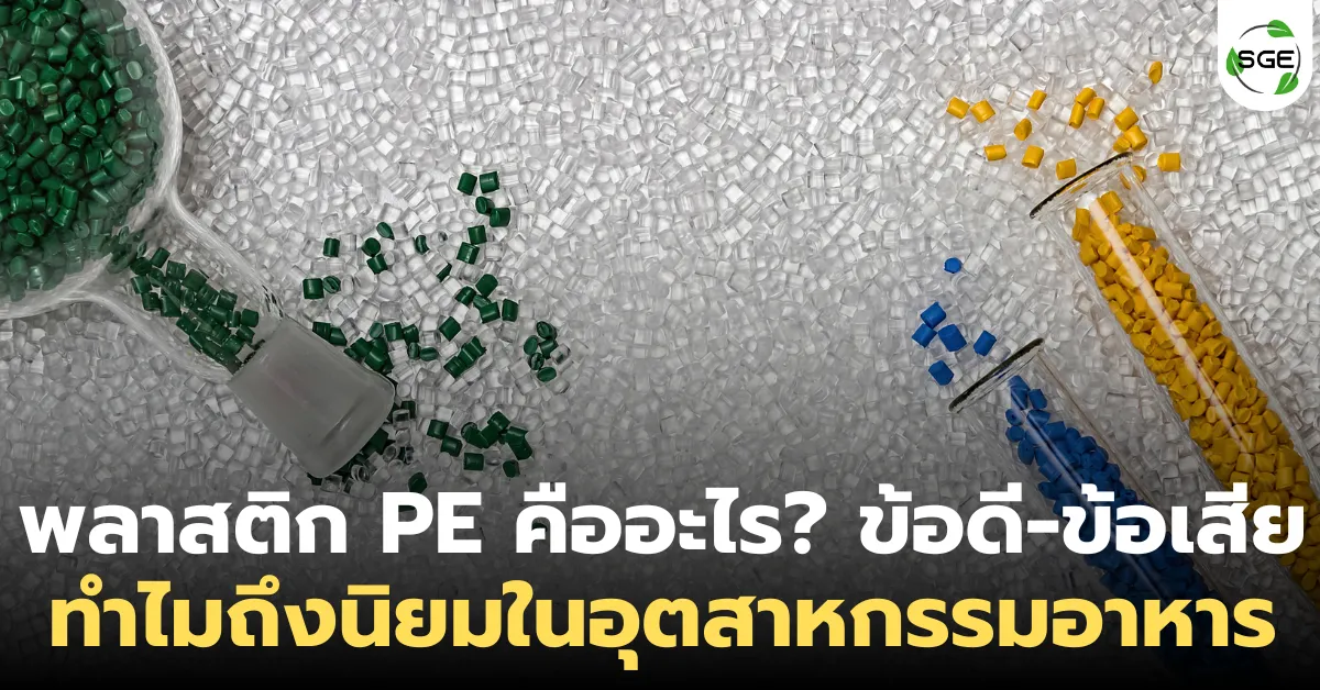 พลาสติก PE คืออะไร? ข้อดี-ข้อเสีย ทำไมถึงนิยมในอุตสาหกรรมอาหาร