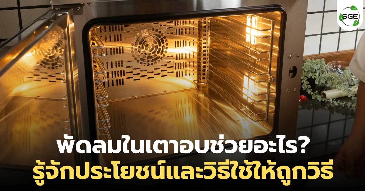 พัดลมในเตาอบช่วยอะไร ? รู้จักประโยชน์และวิธีใช้ให้ถูกวิธี