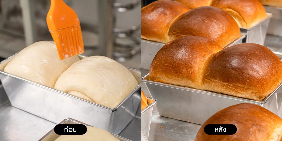 Before-After-Oven-01 Before-After-Oven-01