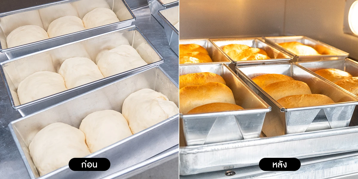 Before-After-Oven-05 Before-After-Oven-05