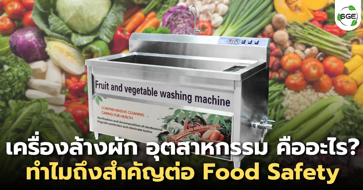 เครื่องล้างผัก อุตสาหกรรม คืออะไร? ทำไมถึงสำคัญต่อ Food Safety
