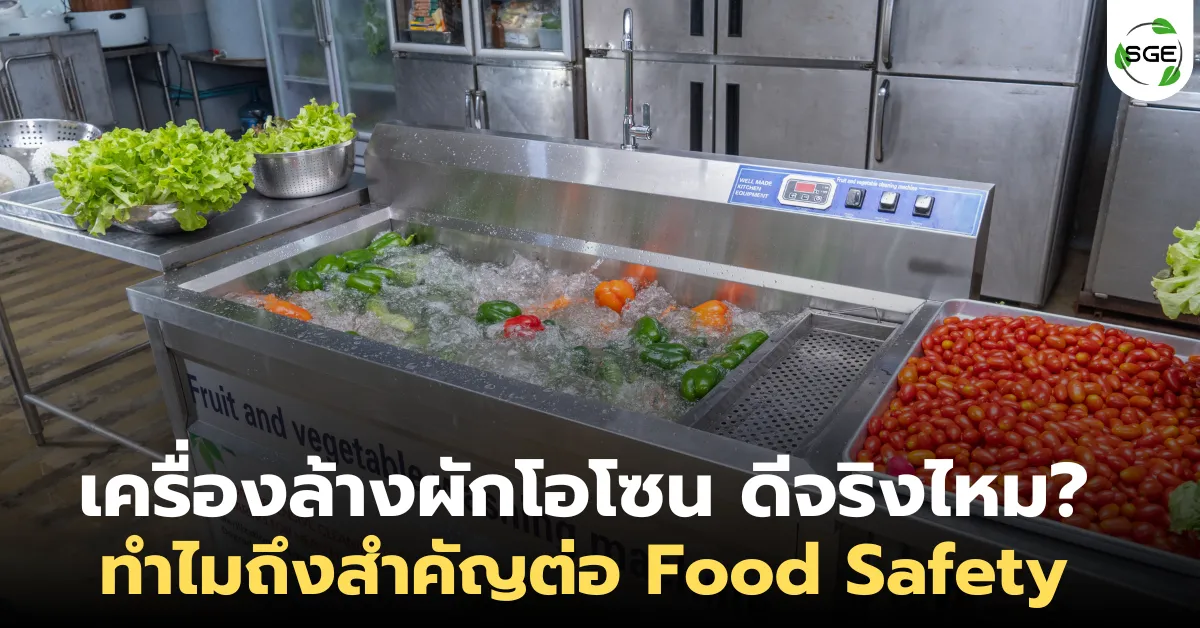 เครื่องล้างผักโอโซน ดีจริงไหม ? ทำไมถึงสำคัญต่อ Food Safety