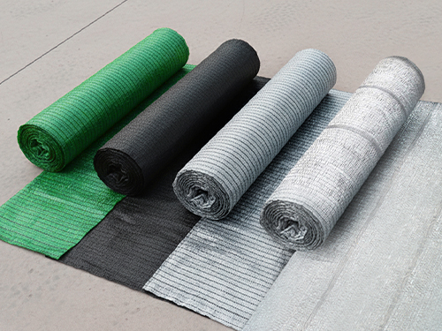Why-sge-LD2025-004 Why-sge-LD2025-004