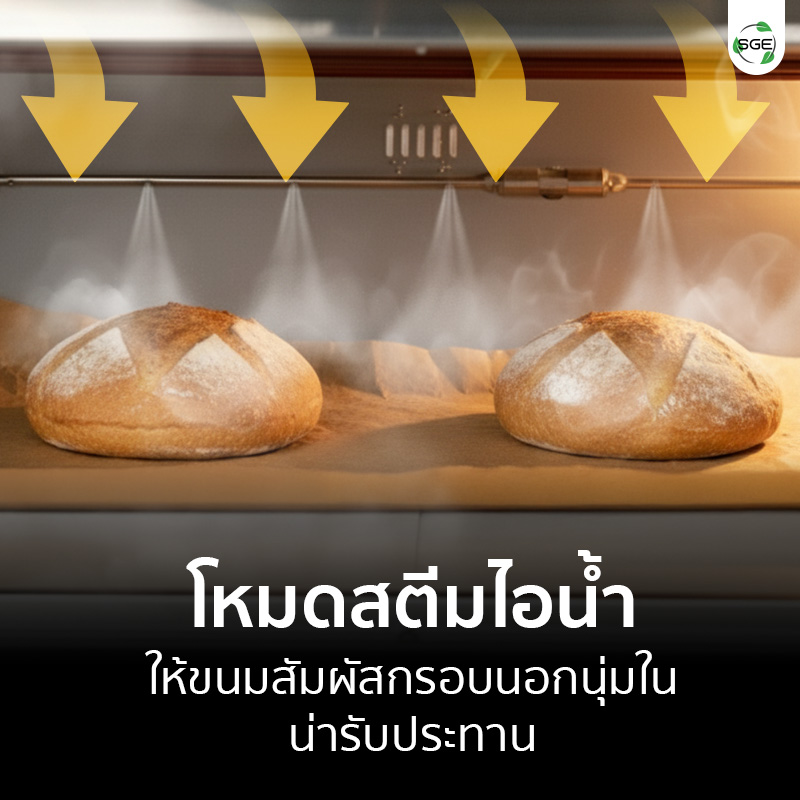 steam faction-OV-DIGI-E-mb-แก้