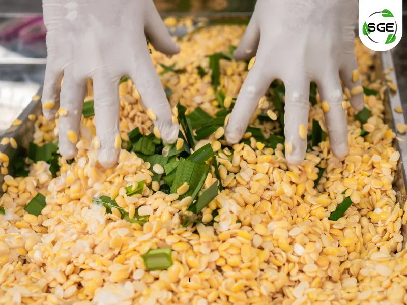 วิธีทำ น้ำเต้าหู้ ขั้นตอนการล้างถั่วเหลืองให้สะอาด