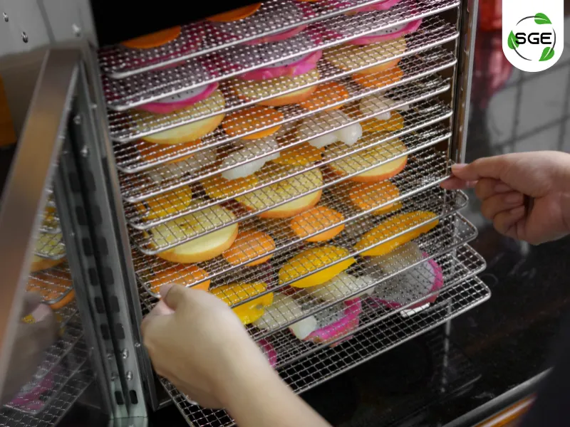 วิธีใช้งาน ตู้อบลมร้อน รุ่นครัวเรือน วางอาหารบนถาดอบ