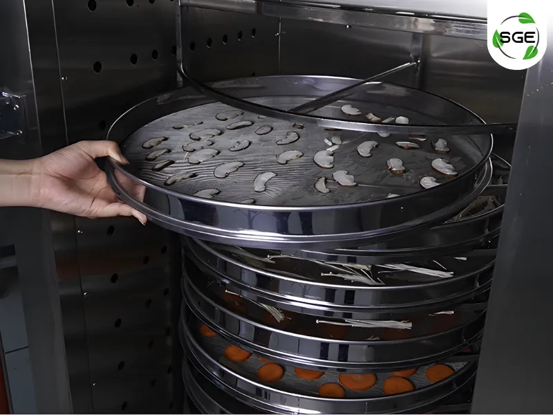 26112025-how-to-use-hot-air-oven-gec-04