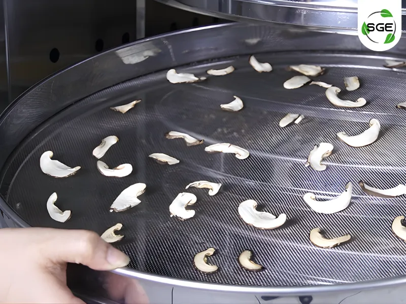 26112025-how-to-use-hot-air-oven-gec-05