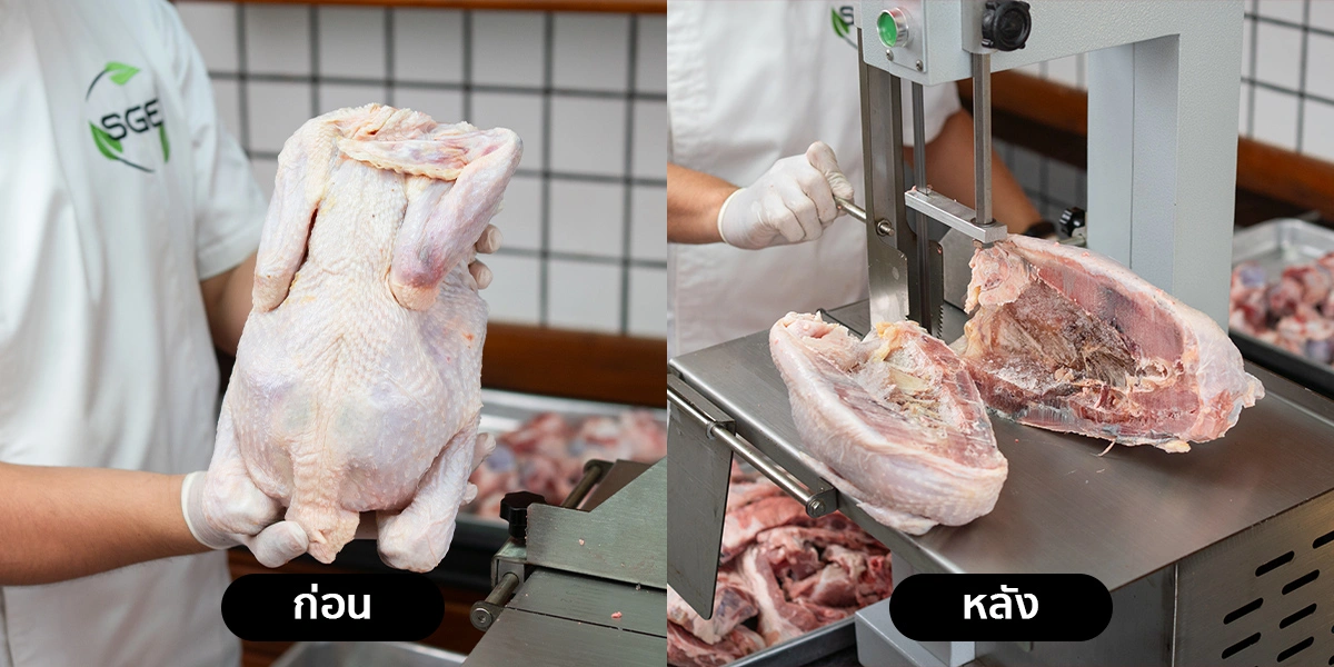 BF-AT-Cutting-Bone-Machine-2