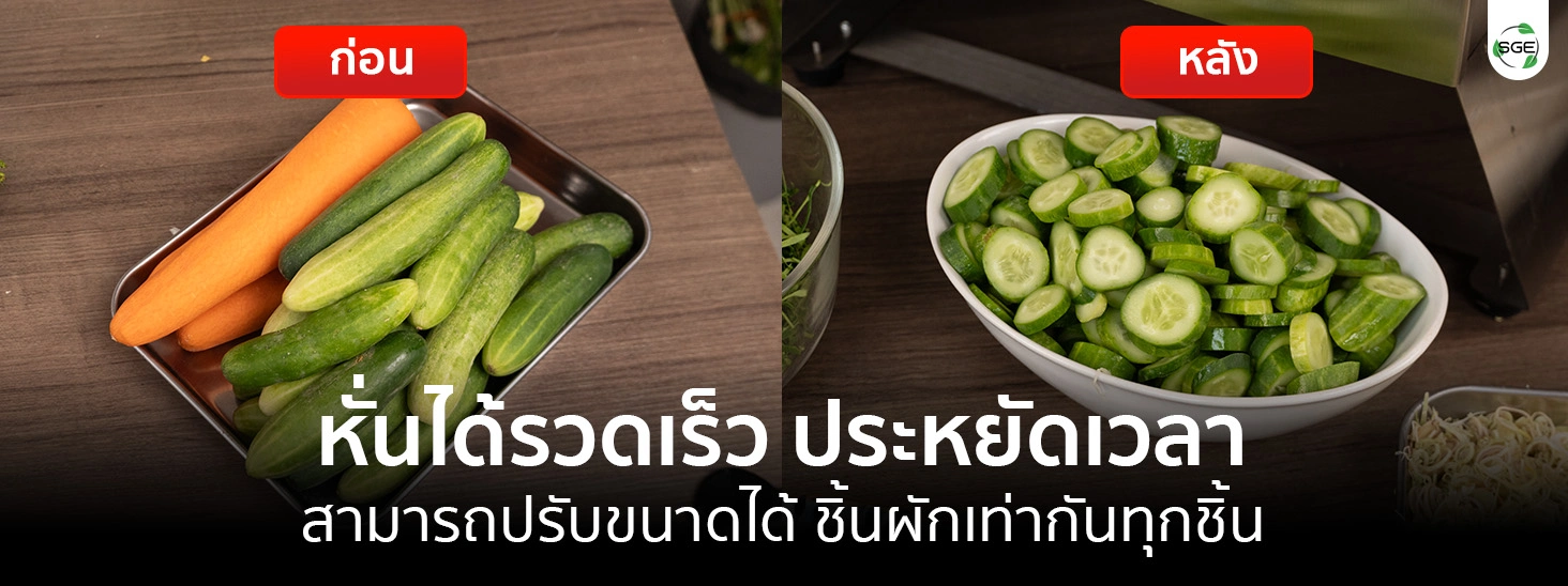 เครื่องหั่นผักสายพาน เครื่องหั่นซอยผัก ใบมีดกังหัน หั่นคม ฉับไว ขนาดเท่ากันทุกชิ้น