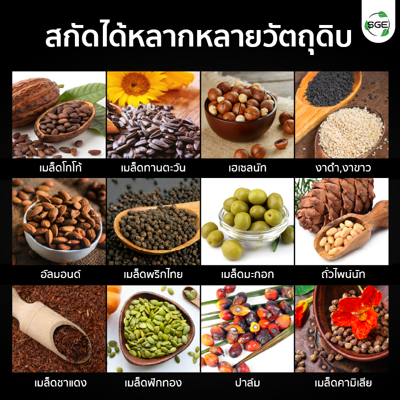 เครื่องสกัดน้ำมัน 2in1 สกัดได้ทั้งแบบร้อนและแบบเย็น ปรับอุณหภูมิการสกัด ให้เหมาะสมกับวัตถุดิบของคุณได้