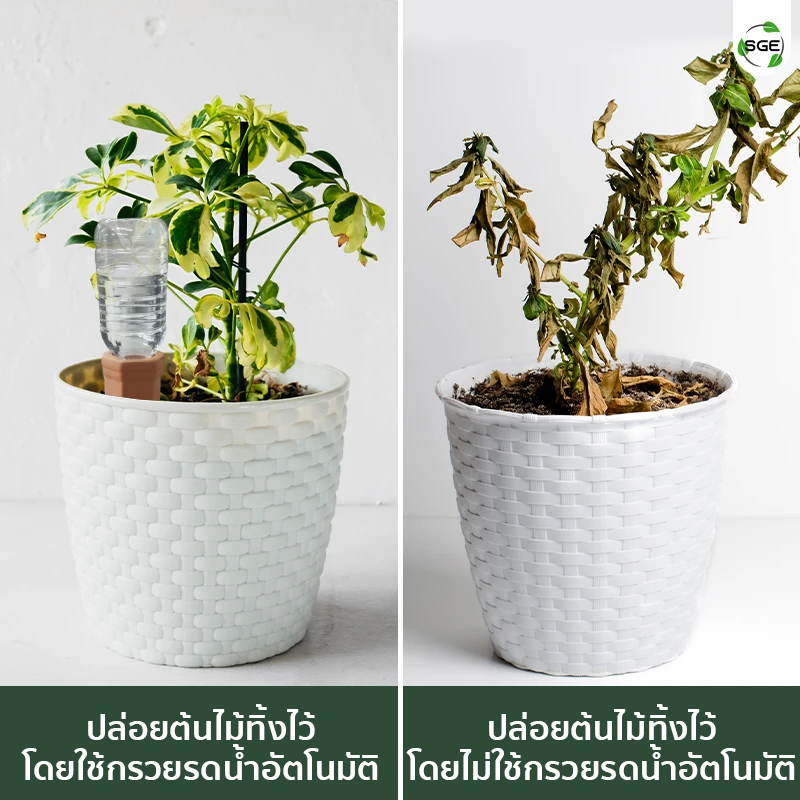 หัวหยดน้ำอัตโนมัติ กรวยรดน้ำต้นไม้ แบบดินเผา ตัวช่วยที่คนปลูกต้นไม้ต้องมี ตอบโจทย์กับคนไม่มีเวลาแต่รักการปลูก