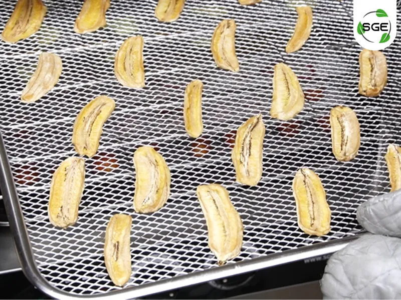 วิธีใช้งาน ตู้อบลมร้อน 32 ถาด รุ่น ECO ขั้นตอนการจัดเก็บและบันทึกข้อมูล วิธีใช้งาน ตู้อบลมร้อน 32 ถาด รุ่น ECO ขั้นตอนการจัดเก็บและบันทึกข้อมูล