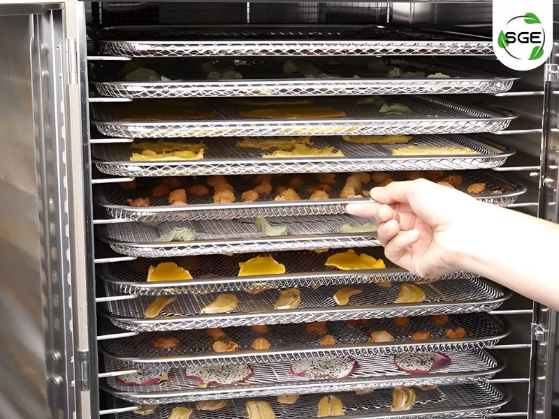 วิธีใช้งาน ตู้อบลมร้อน 32 ถาด รุ่น ECO ขั้นตอนการนำอาหารออกจากตู้อบลมร้อน วิธีใช้งาน ตู้อบลมร้อน 32 ถาด รุ่น ECO ขั้นตอนการนำอาหารออกจากตู้อบลมร้อน