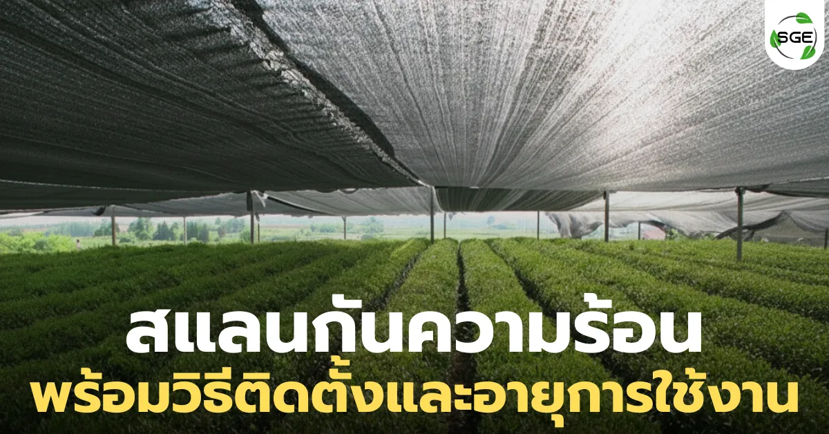 สแลนกันความร้อน คืออะไร? พร้อมวิธีติดตั้งและอายุการใช้งานที่มือใหม่ต้องรู้