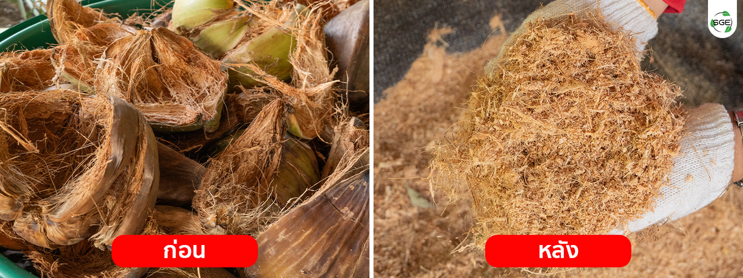 ก่อน VS หลัง ใช้เครื่องย่อยกิ่งไม้