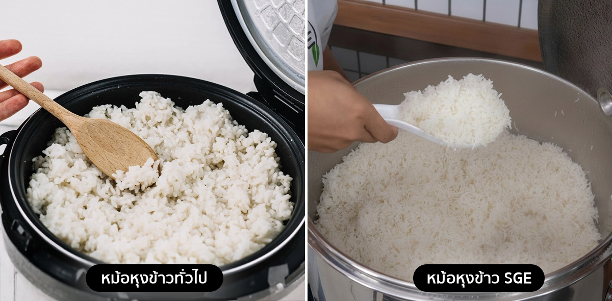 หม้อหุงข้าว เครื่องนึ่งข้าวของ SGE ทำให้ข้าวร่วนสวย เรียงเมล็ด หม้อหุงข้าว เครื่องนึ่งข้าวของ SGE ทำให้ข้าวร่วนสวย เรียงเมล็ด