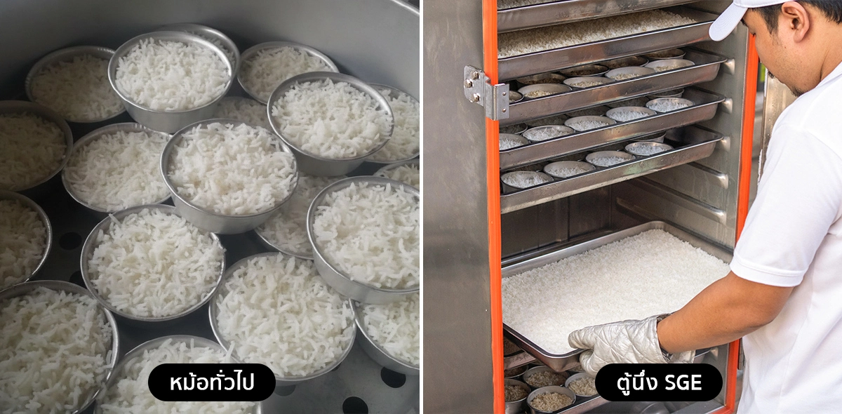 Compare-Steaming-Rice-3-3