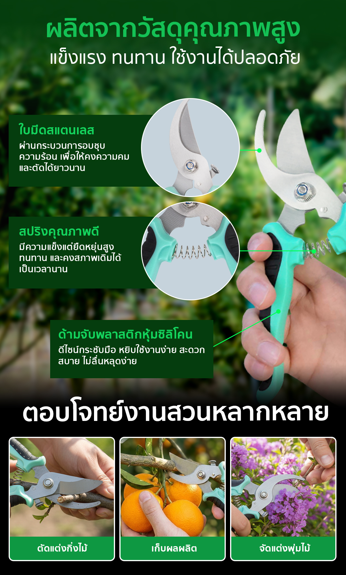 กรรไกรตัดกิ่ง กรรไกรตัดแต่งกิ่ง แบบปากโค้ง ผลิตจากวัสดุคุณภาพสูง แข็งแรง ทนทาน ใช้งานได้ปลอดภัย กรรไกรตัดกิ่ง กรรไกรตัดแต่งกิ่ง แบบปากโค้ง ผลิตจากวัสดุคุณภาพสูง แข็งแรง ทนทาน ใช้งานได้ปลอดภัย