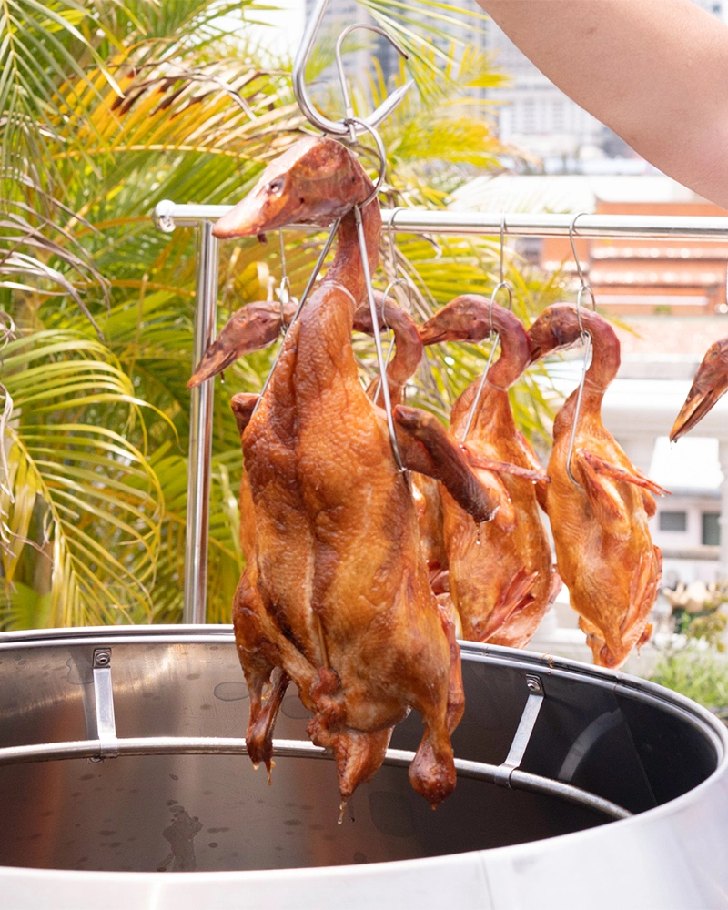 รีวิวการใช้งานจริง เตาอพอลโล เตาอบเป็ด รีวิวการใช้งานจริง เตาอพอลโล เตาอบเป็ด