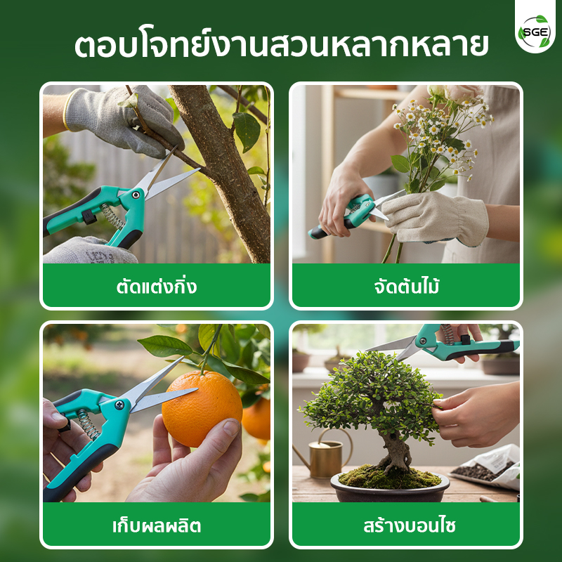 กรรไกรตัดกิ่ง กรรไกรตัดกิ่งปากตรง ปลายแหลม ตอบโจทย์งานสวนหลากหลาย